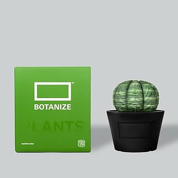 ユーフォルビア・オベサ　botanize鉢(atomos限定) Amazon.co.jp: 【期間限定 20%OFF】MEDICOM TOY × BOTANIZE VCD